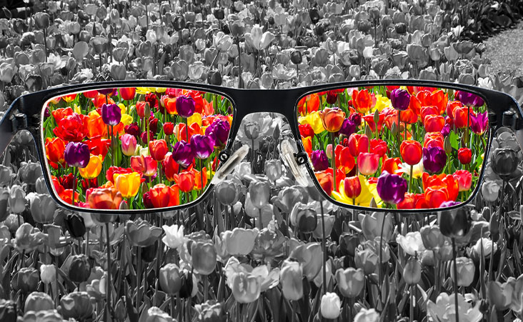 Colour Vision Testing for Specific Occupations